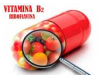 RIBOFLAVINA-VITAMINA B2